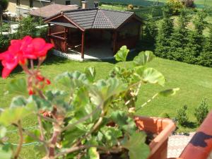 A garden outside Privat Ivan
