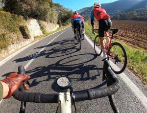 Jízda na kole v ubytování Son Roig ,Beautiful Place in the Heart of Mallorca -ETV 9979 nebo okolí