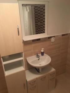 ein Bad mit einem Waschbecken und einem Spiegel in der Unterkunft Rodinný penzion in Mikulov