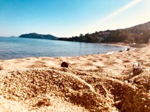 uma praia de areia com um corpo de água em Feel free em PalaiónTsiflíkion