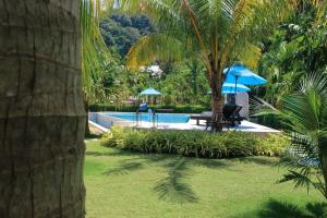 a pool with a palm tree and chairs and umbrellas at Na Vela Village - Adults Only Hotel in Ko Lanta +17 photos
