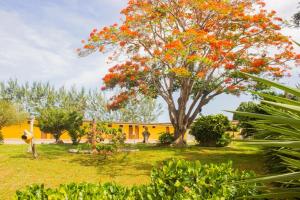 a tree with orange flowers in front of a yellow house at Hotel Parque do Sol in Parnamirim