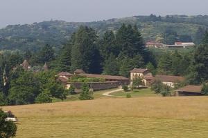 a house on a hill with a field and trees at La Petite Maison à Vieillecour in Saint-Pierre-de-Frugie +15 photos