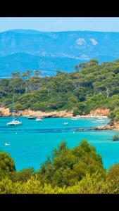 ein großer Wasserkörper mit Booten darin in der Unterkunft Entre mer et piscine in Hyères