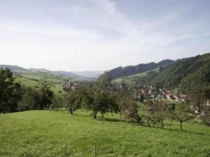 a green field with trees and a town in the distance at Pension Waldfrieden in Oberharmersbach