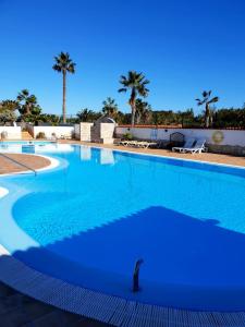 una grande piscina blu con palme sullo sfondo di Casa Lirio a Costa Calma