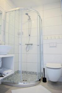 uma cabina de duche em vidro numa casa de banho com WC em Lofts - Kaunas airport em Karmėlava