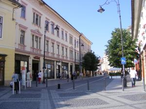 a city street with people walking down the street at Garsoniera Central Sibiu in Sibiu