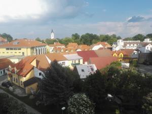 a view of a town with houses and a church at Apartmán-Třeboň-centrum in Třeboň +1 photo