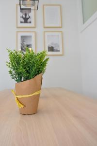Fotografie z fotogalerie ubytování Apartments Villa Laura v destinaci Pag