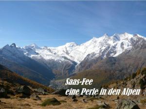 サースフェーにあるApartment Chalet Les Arolles by Interhomeの雪山連峰