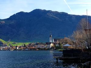 a town on the shore of a lake with a church at Ferienzimmer Arth am See in Arth