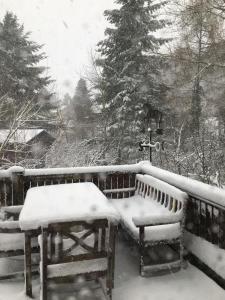 two benches covered in snow on a fence at Ferienwohnung Boellsteiner Hoehe in Böllstein +22 photos