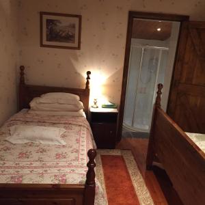 a bedroom with a bed and a shower at Teresas Cottage in Donegal