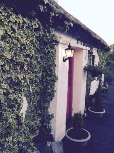 una luz de la calle junto a un edificio con plantas en Teresas Cottage, en Donegal