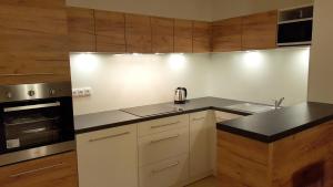 Kuchyň nebo kuchyňský kout v ubytování Lipno Apartmany Frymburk III.