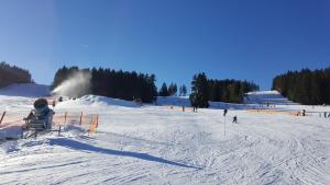 Lipno Apartmany Frymburk III. v zimě
