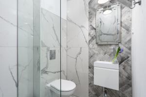 a bathroom with a toilet and a sink and a mirror at Elite Apartments Old Town Premium in Gdańsk