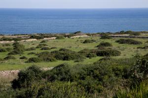 un campo abierto con el océano en el fondo en Casa Vacanza Casa nel Sole en Siracusa