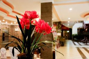 um vaso de plantas com flores vermelhas no átrio em Susin Hotel em Mafra
