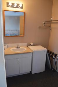 a bathroom with a sink and a mirror at Skimmerhorn Inn in Creston