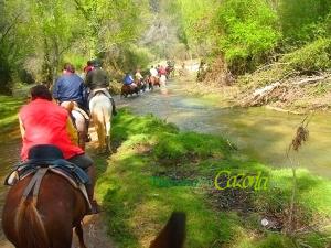 a group of people riding horses down a river at MONTE PIEDRA in Arroyo Frio