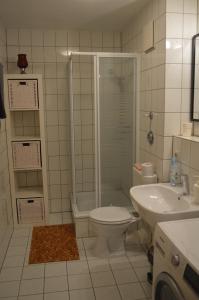 ニュルンベルクにあるModernes 1-Zimmer Apartment W-Lan, Stellplatzのバスルーム(シャワー、トイレ、シンク付)