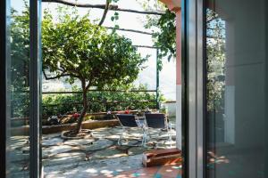 Zahrada ubytování B&B Orto Paradiso