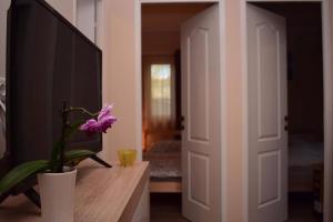 Posteľ alebo postele v izbe v ubytovaní Vadszőlő Apartman