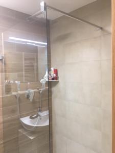 a bathroom with a glass shower with a sink at Apartmán Čihadla in Bedřichov