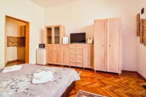 Televízia a/alebo spoločenská miestnosť v ubytovaní EFEU Residence