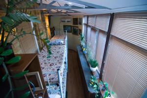 Zahrada ubytování Hostel Kyiv-Art