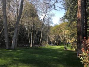 a green park with trees and a grass field at Big Sur River Inn in Big Sur