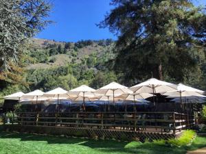 a row of white umbrellas in front of a building at Big Sur River Inn in Big Sur