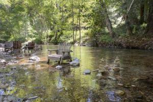 two benches sitting next to a river with trees at Big Sur River Inn in Big Sur