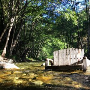 a wooden bench sitting in the middle of a river at Big Sur River Inn in Big Sur