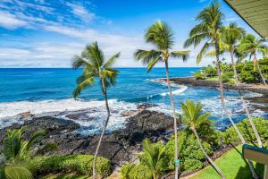 科纳Oceanfront Luxury Condo的享有棕榈树海滩和大海的景色