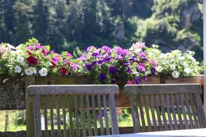 due panche di legno con fiori su una recinzione di Limerhof a Waischenfeld