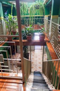 a hallway with a table and potted plants at Hotel Landivar Zona 7 in Guatemala +18 photos