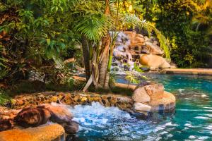 a swimming pool with a waterfall in a garden at Malanda Lodge in Malanda