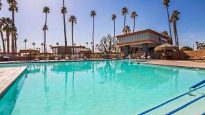 ein großer Pool mit Palmen im Hintergrund in der Unterkunft Best Western Date Tree Hotel in Indio