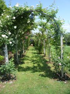Giardino di Apt. Marilena by SolturElba