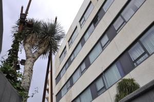 Edificio in cui si trova l'hotel
