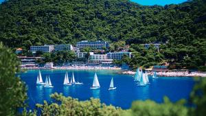 un groupe de voiliers sur une masse d'eau dans l'établissement Hotel Uvala, à Dubrovnik