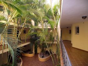 Zdjęcie z galerii obiektu Parque Tropical I w mieście Los Cristianos