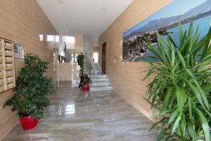Zdjęcie z galerii obiektu Edf. Gaviota 3º2 w mieście Nerja