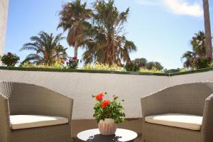 A garden outside Beautiful seafront house