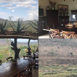 Komatipoort şehrindeki Croc River Lodge tesisine ait fotoğraf galerisinden bir görsel