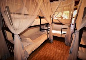 two bunk beds in a room with curtains at Elementis Entebbe in Entebbe