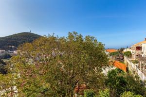 Príroda v okolí apartmánu + 37 fotografií
